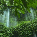 Menyatu dengan Alam — Cara Sederhana untuk Menenangkan Pikiran dan Jiwa